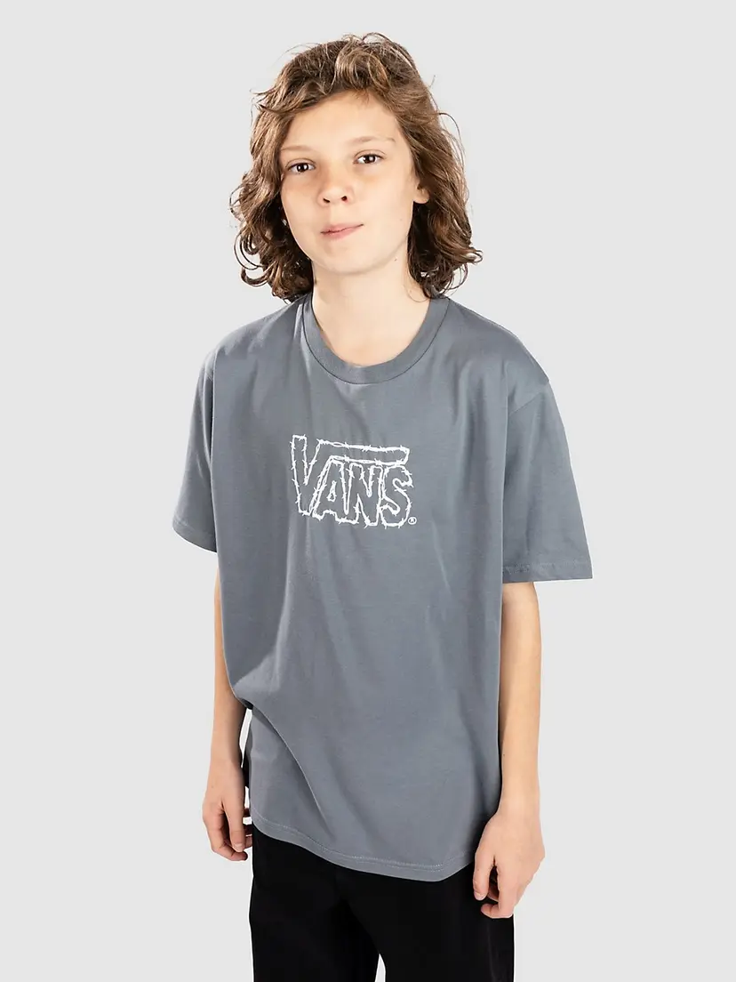 Vans Vans Cactus Wire Kids T-skjorte grå