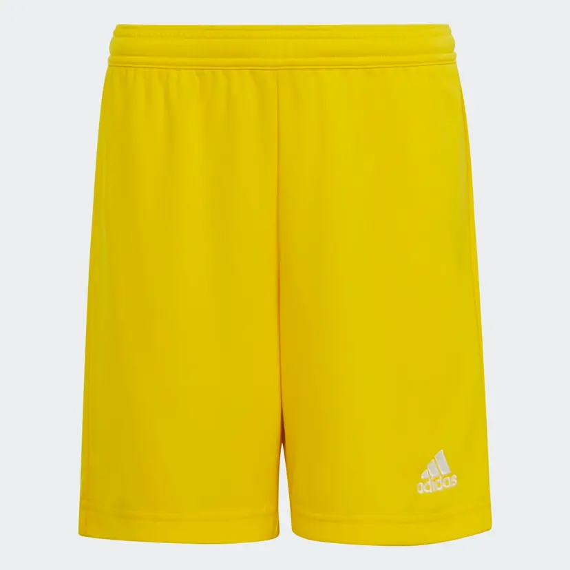 Adidas Entrada 22 Shorts
