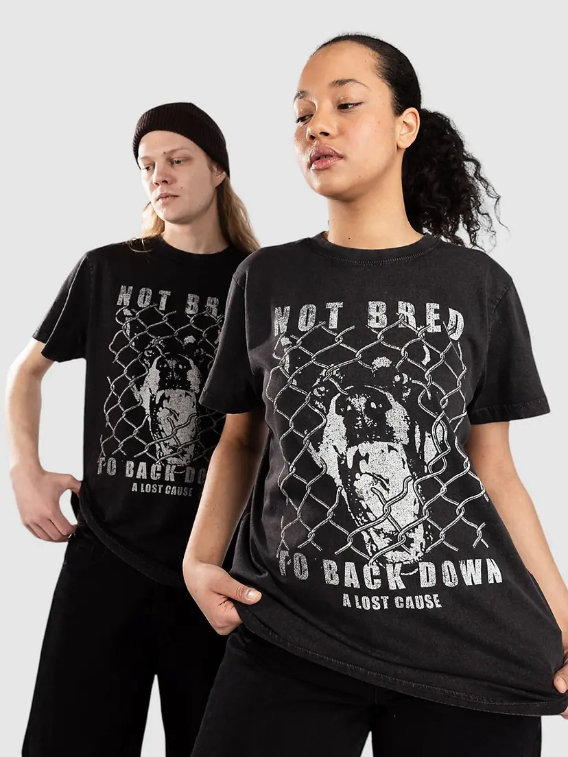 A Lost Cause A Lost Cause Backdown Vintage T-skjorte svart