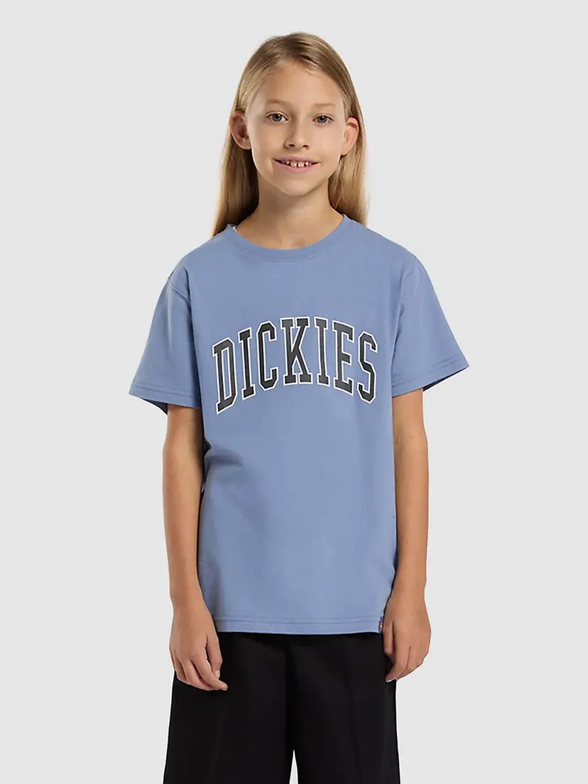 Dickies Dickies Excavator Graphic T-skjorte blå