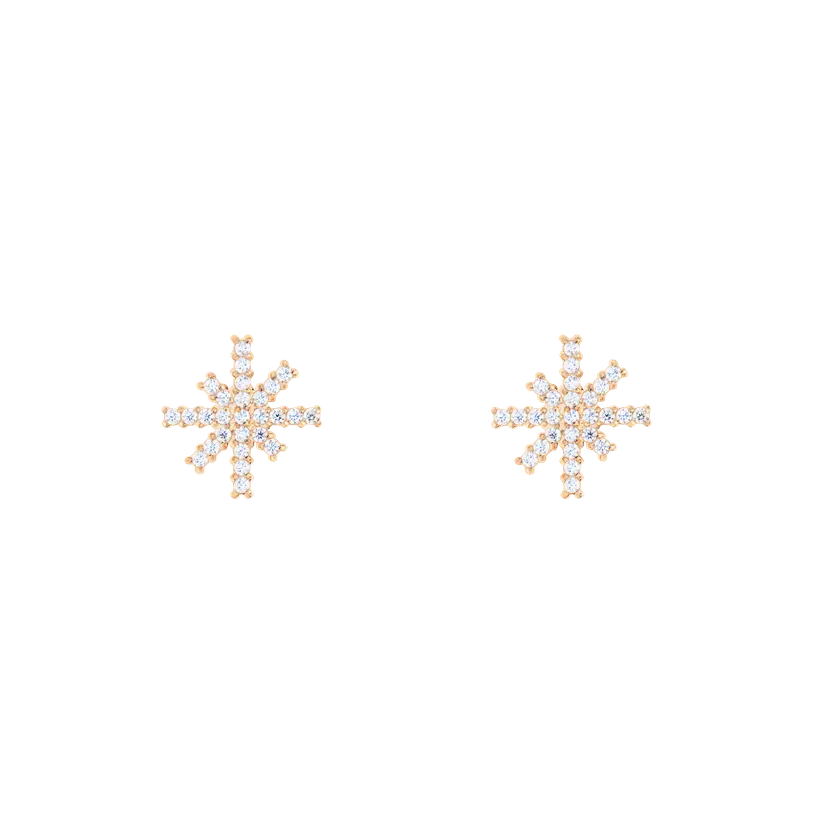 Daniel Wellington Rose Gold Earrings Mirelle Star | DW