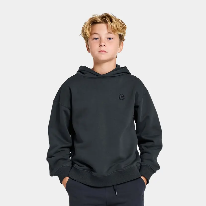 Didriksons Ven Kids' Hoodie