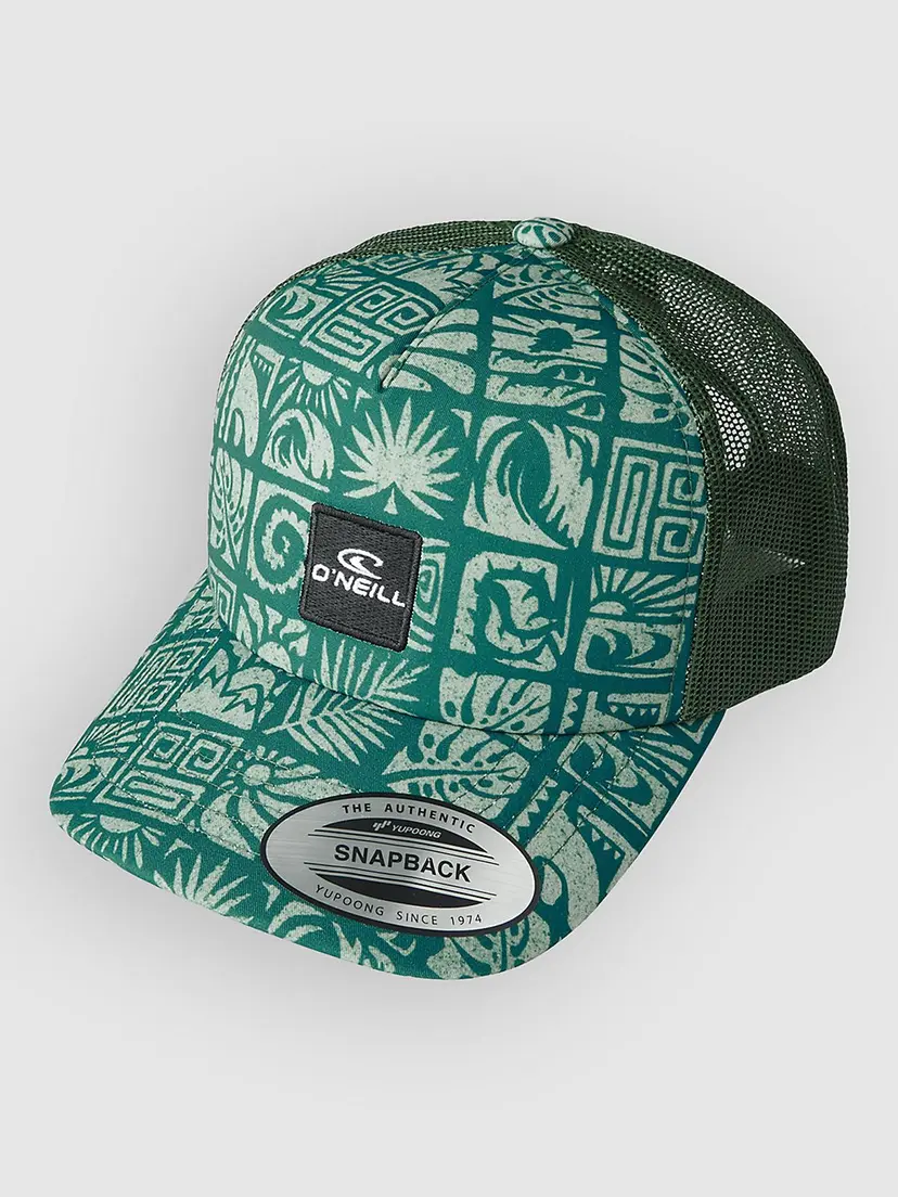 O'Neill O'Neill Summer Camp Trucker Kids Caps blå