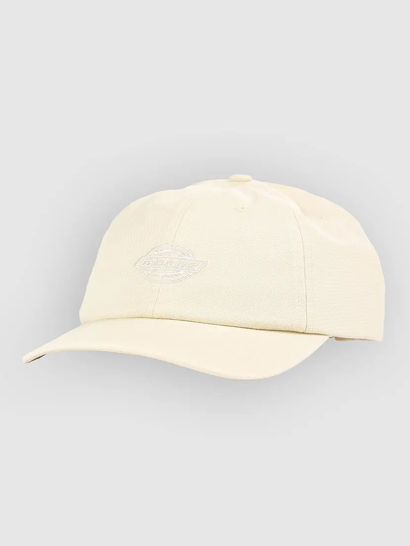 Dickies Dickies Duck Canvas Dad Caps