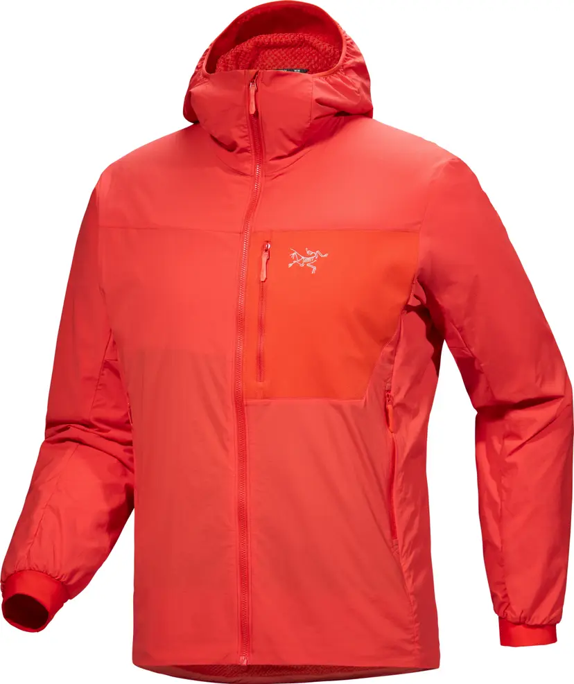 Arcteryx Arc'teryx Men's Proton SL Hoody Dynasty