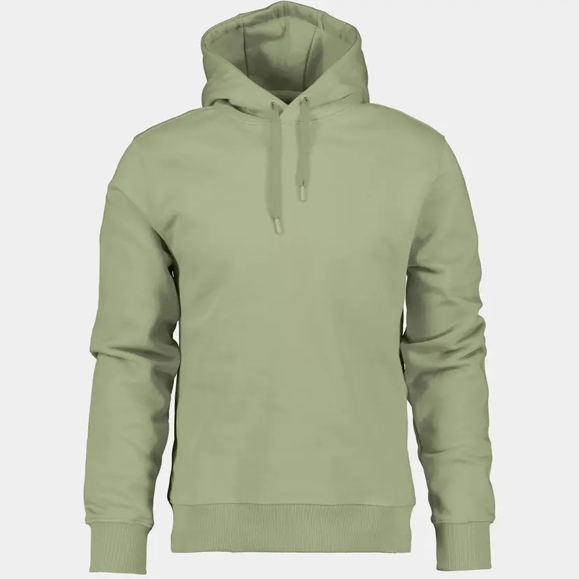 Didriksons Ven Men's Hoodie