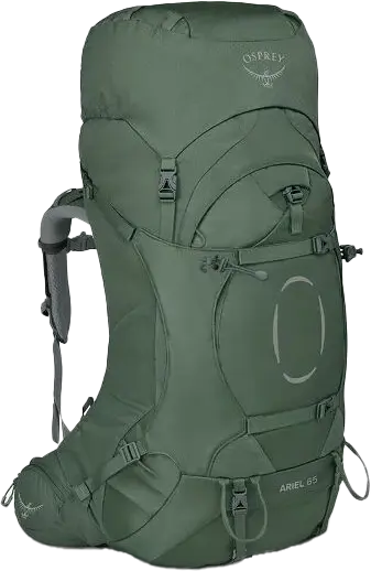 Osprey Osprey Women's Ariel 65 Koseret Green